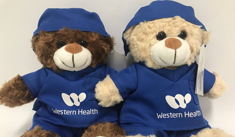 Give a Bear - Western Health Foundation Care Bear
